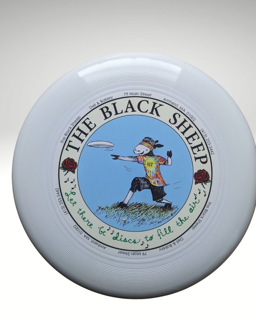 white frisbee on a white background